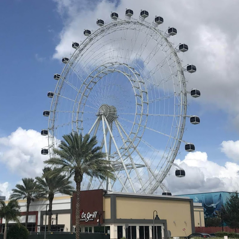 The Florida Story