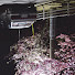 fjHcPm-ybY0-channel-avatar-Musik Wolke
