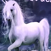 オカルト競馬きりぼし大根