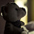 @witeshade's avatar