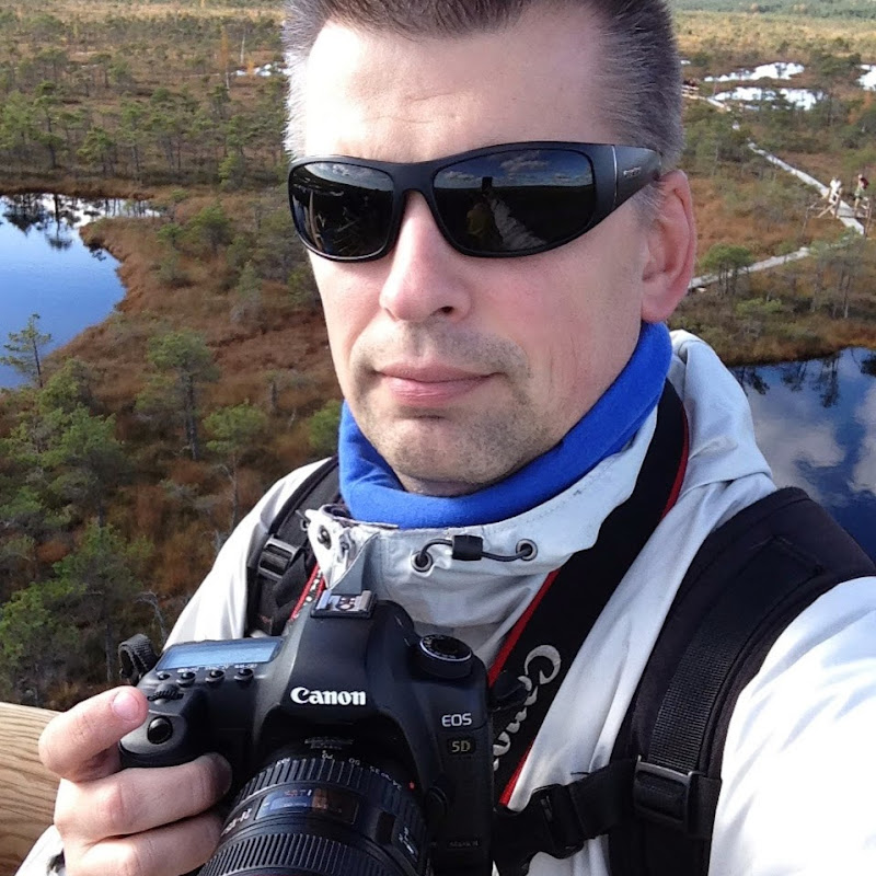 Channel Avatar