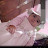 @lotfirahiche1920