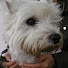 zwIQ56OuJwc-channel-avatar-antman09ful1