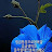 @user-dm4ob8rm1c