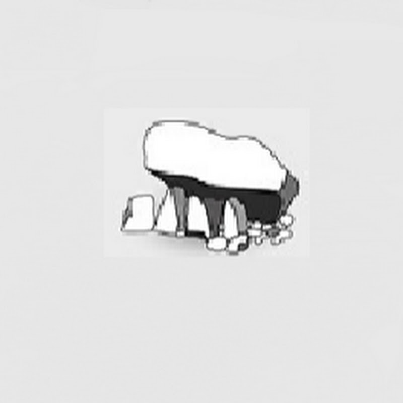 Carlow Historical Archaeological Society