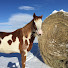 RKNQaXZeMIU-channel-avatar-Guy in WY
