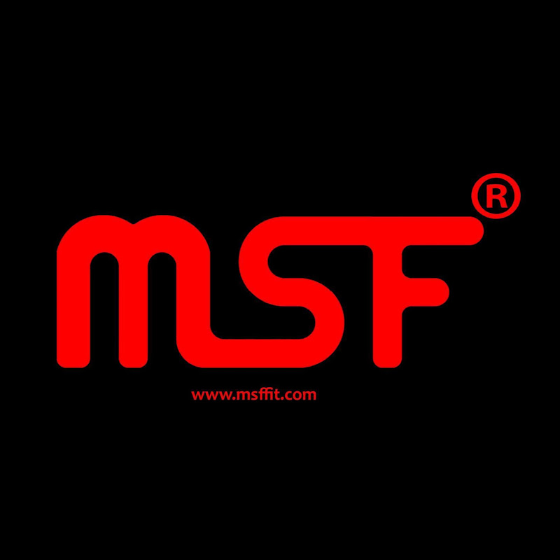 Msffit