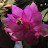 @terriehollen6494 Avatar