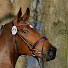 -6IDQU2lqPA-channel-avatar-HorseTime