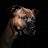 @activat0rz Avatar