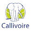 RYtsoWNEfhI-channel-avatar-Callivoire