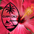 Pc0OZrPlsMY-channel-avatar-GuamCali