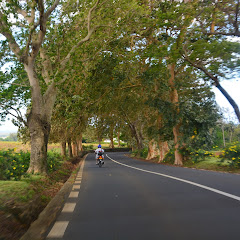 王衡アイコン画像