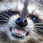 RaccoonEmpire