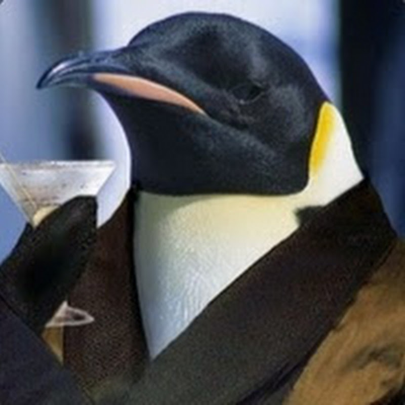 Duh Penguwin