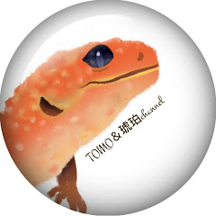 TOMO&KOHAKUアイコン画像