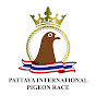 PATTAYA INTERNATIONAL PIGEON RACE logo