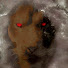 ancwTUkXyKk-channel-avatar-John Of The Light