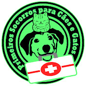 Primeiros Socorros para Cães e Gatos
