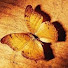 DU9i8vEdS_g-channel-avatar-MsSoOoul