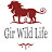 @gir-wildlife6309
