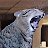 @maxpanicked1451's avatar