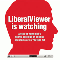 LiberalViewer net worth