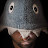 @fpeynet's avatar