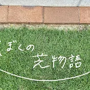 わったー芝好き