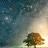 @user-ug3px4xc8q