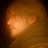 Photo of @Mijdax