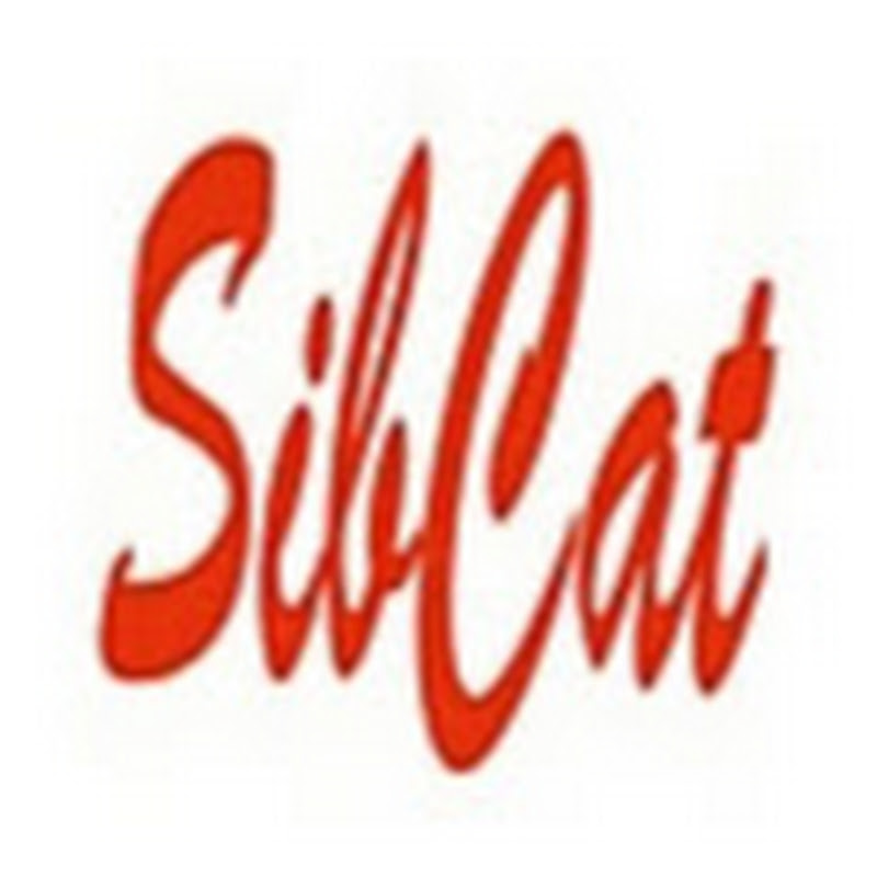 sibcat-spb6404