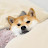 @ShibaInu-xb4lx