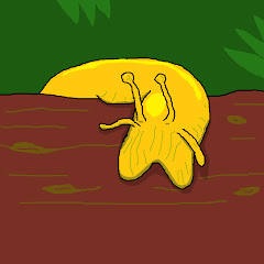 Video Slinkman