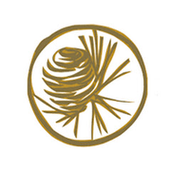 Association Zen Internationale