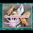 68jnp6B9P-s-channel-avatar-Crochetwithsumi