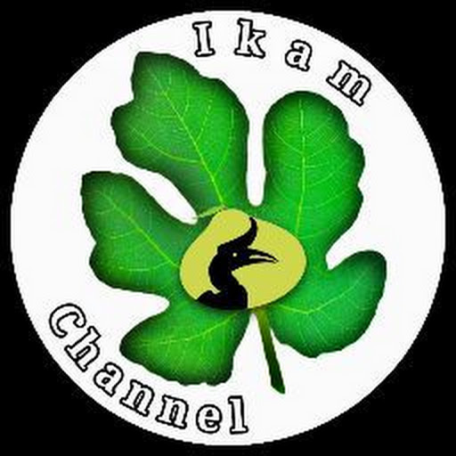 Ikam Channel