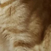 れの
