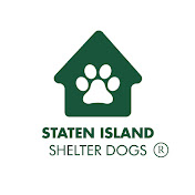 Staten Island Shelter Dogs