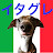 Marco_Anna _ Italian greyhound