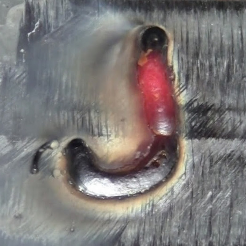 Jukka testaa ja harrastaa