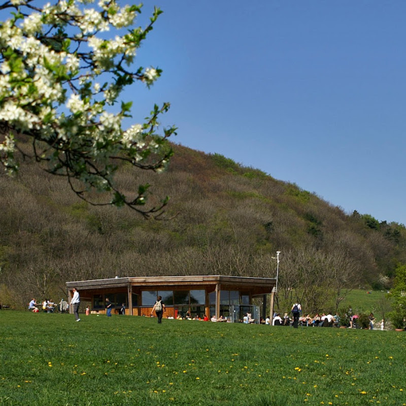 Am Himmel logo