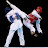 Best Taekwondo Video