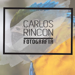 Логотип каналу Carlos Rincon