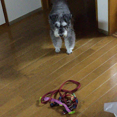 えいたchannel