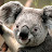 @user-pg4bx9zf1s