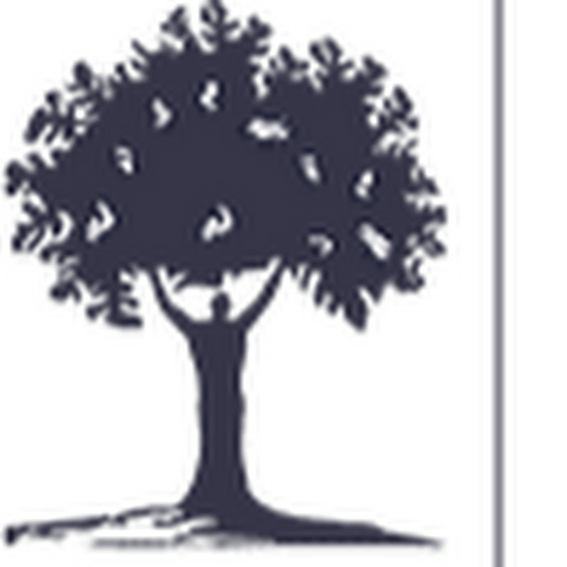LifeTime Asset Management