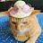 @user-qx4gj5dz3m