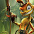 @yeedshugo Avatar