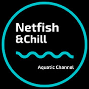 Netfish and Chill 888